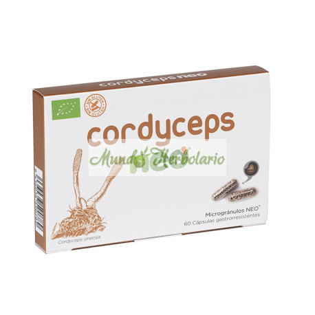 Cordyceps Neo 60 cápsulas