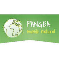 Pangea.jpg