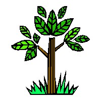 Herbolario herbosalud.jpg