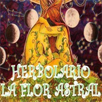 Herbolario flor astral.jpg