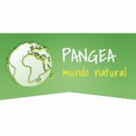 Pangea.jpg