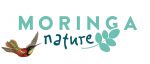 LOGO MORINGA Nature.jpg