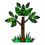 Herbolario herbosalud.jpg