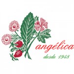 Herbolario angelica.jpg